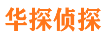 滨江侦探公司